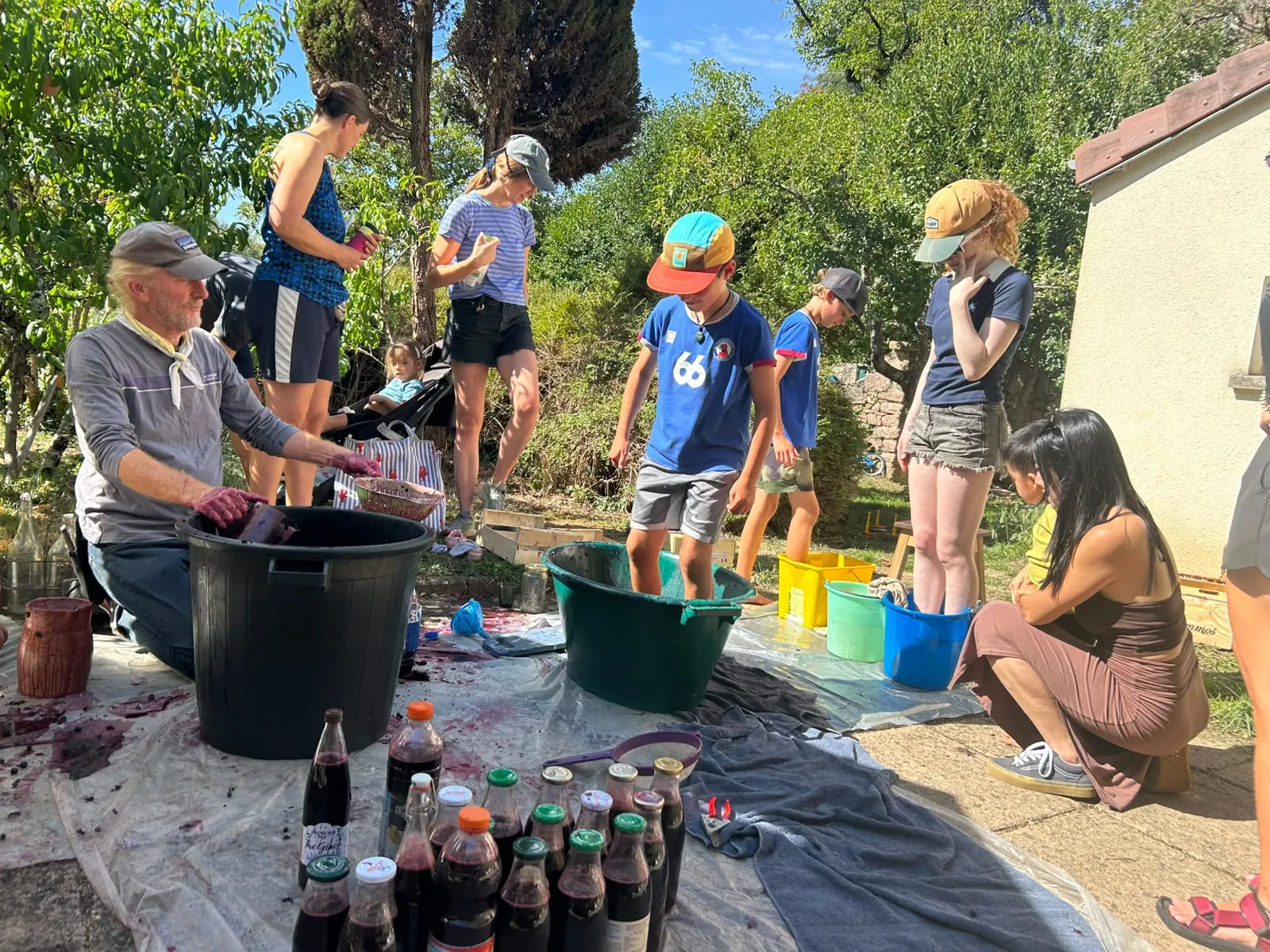 Getting involved in the grape harvest, one very purple foot at a time.